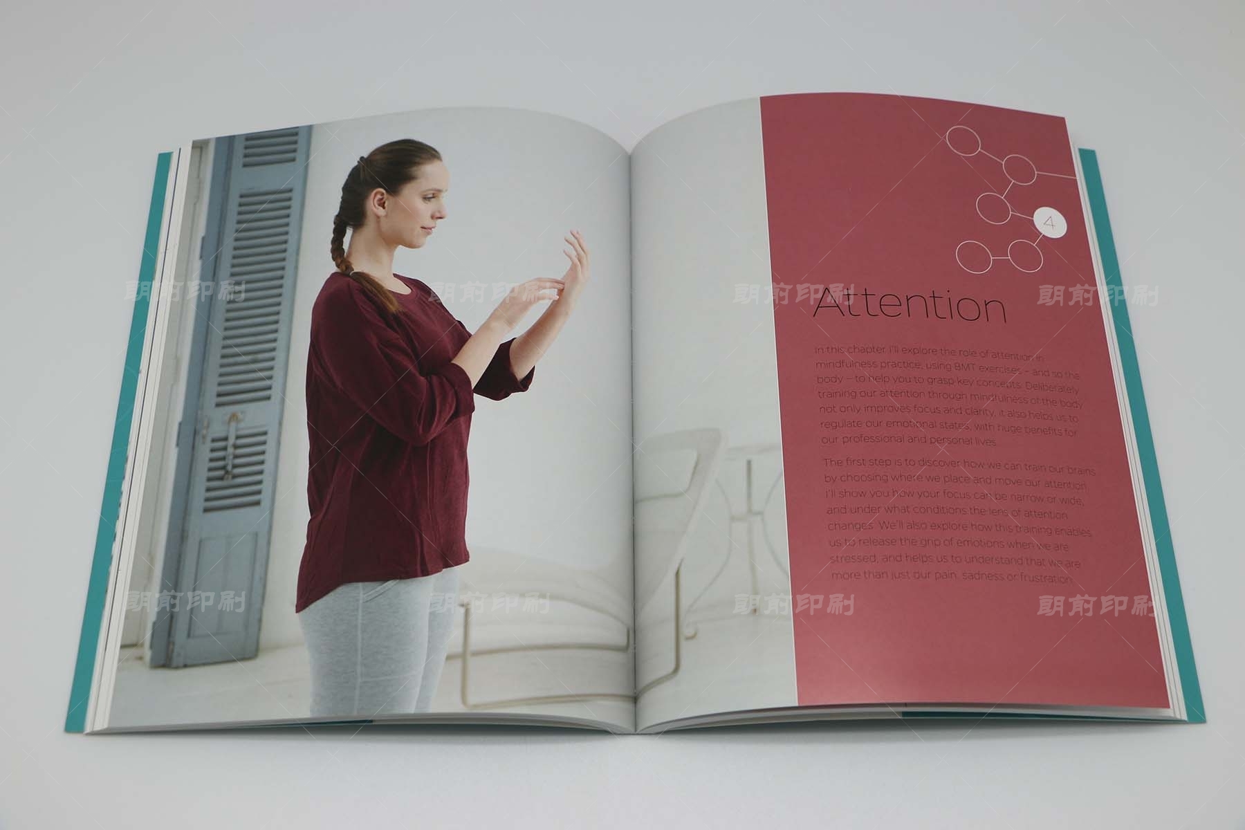 廣州知名畫(huà)冊(cè)印刷制作價(jià)格低 廣州印刷畫(huà)冊(cè)書(shū)刊