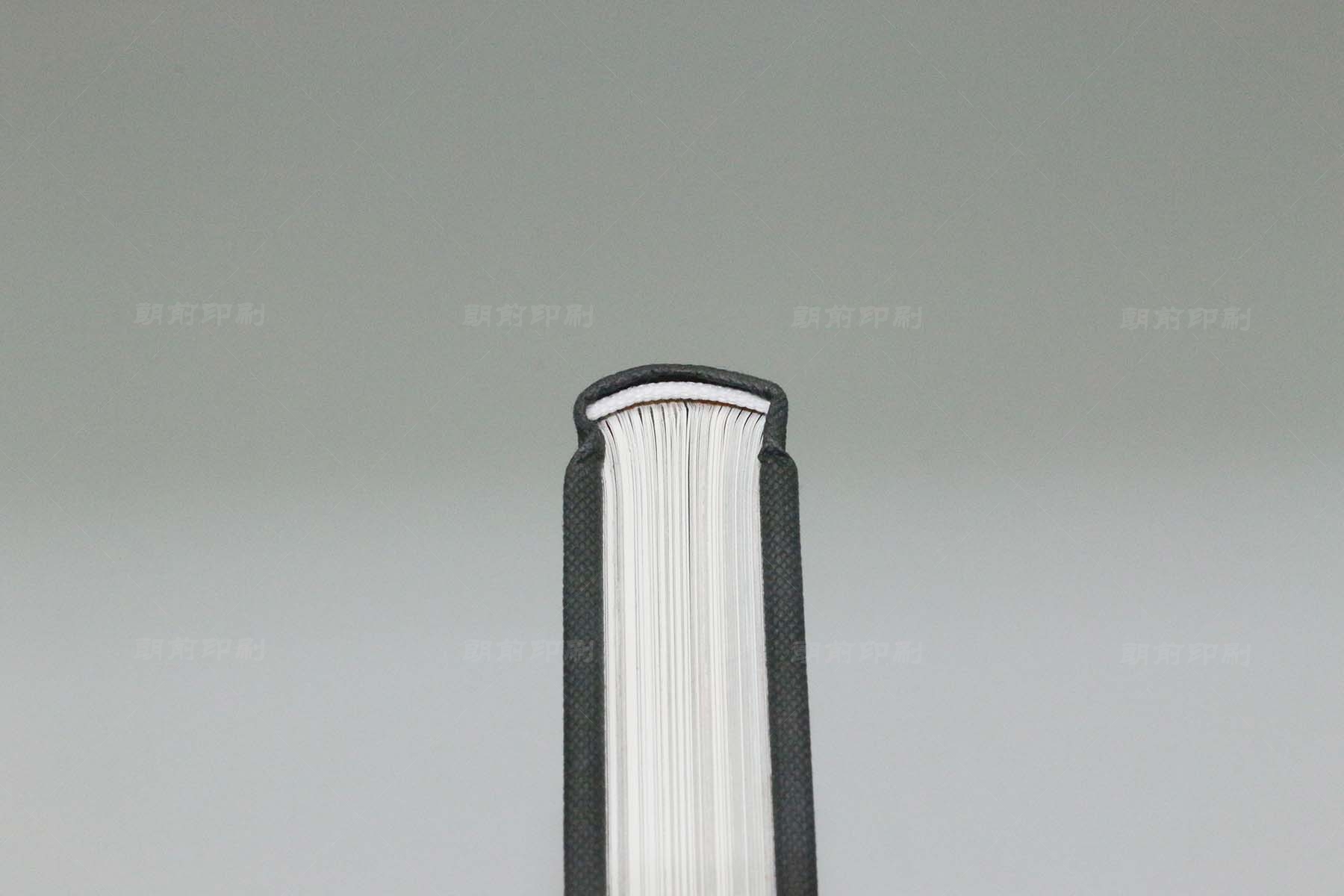 廣州精美畫(huà)冊(cè)印刷價(jià)格 廣州企業(yè)畫(huà)冊(cè)印刷的意義