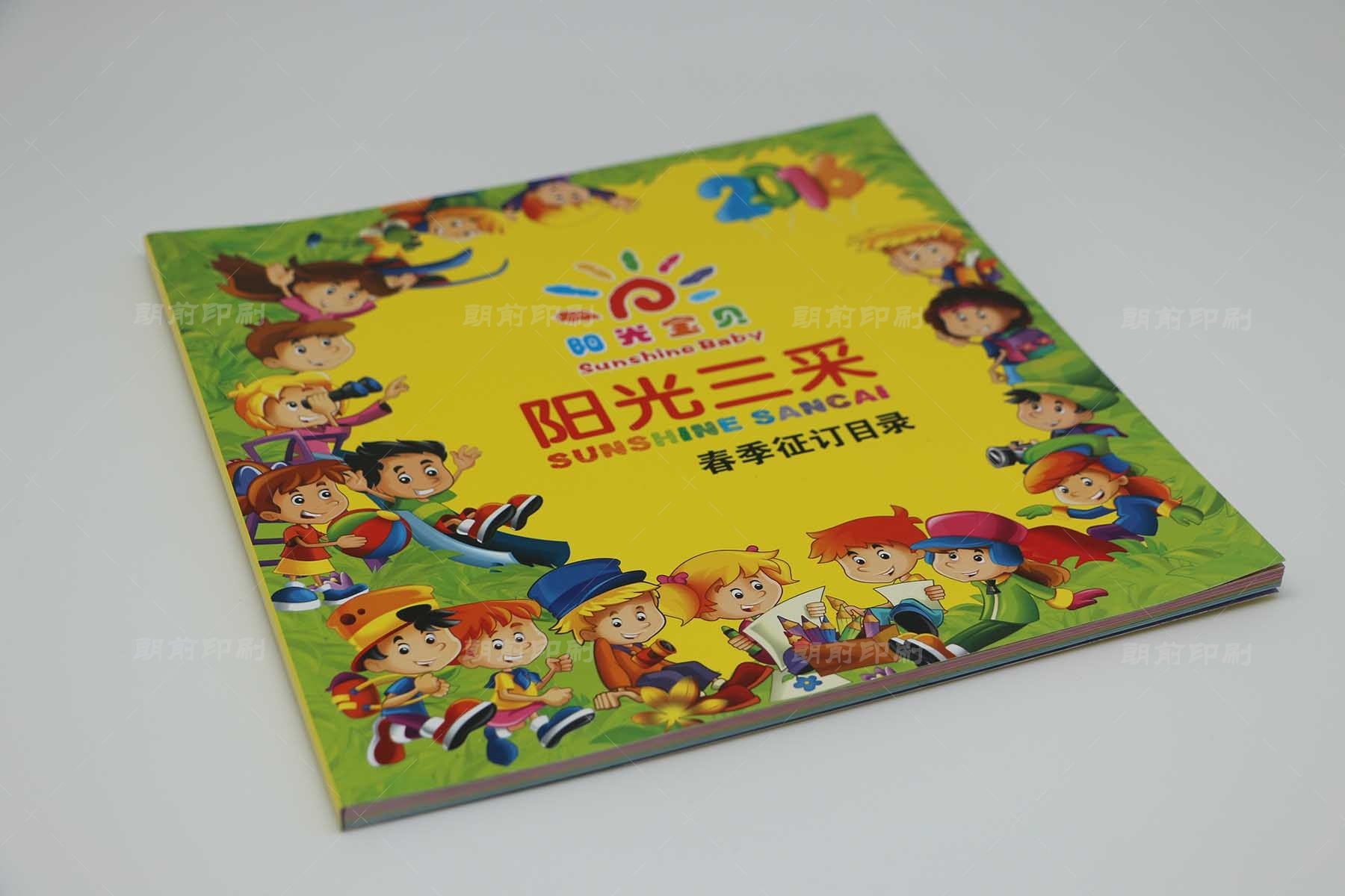 廣州專業(yè)畫冊印刷多少錢 廣州提供畫冊設計印刷