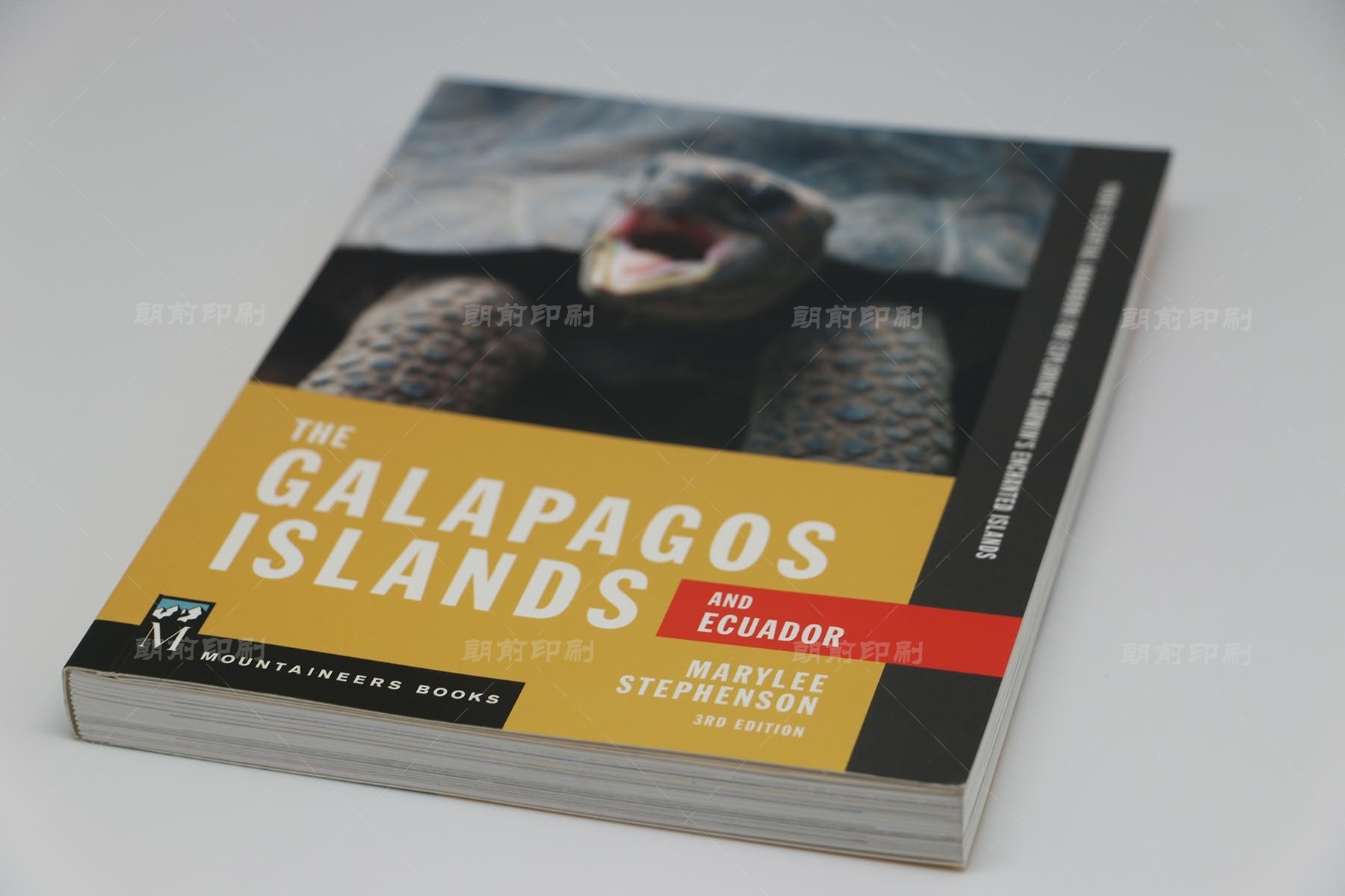 廣州活動(dòng)畫冊(cè)制作公司 廣州畫冊(cè)彩頁(yè)設(shè)計(jì)印刷