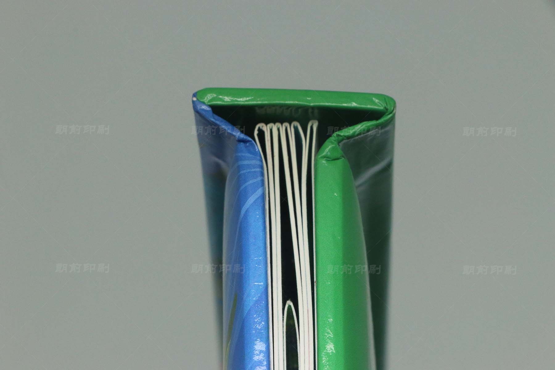 廣州產(chǎn)品宣傳畫冊(cè)印刷圖片 廣州公司畫冊(cè)印刷公司