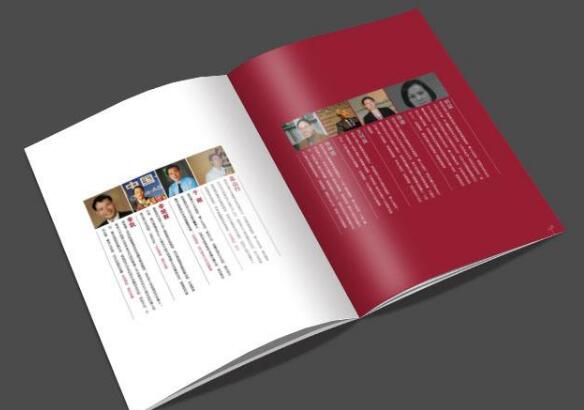 廣州公司宣傳畫冊設(shè)計(jì)印刷廠家 廣州企業(yè)畫冊設(shè)計(jì)印刷制作