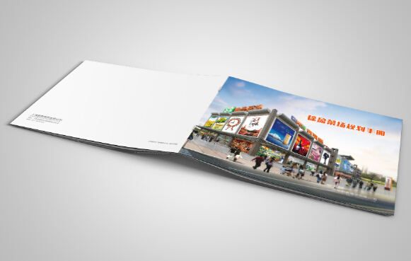 廣州廣告畫冊設計制作 廣州企業(yè)畫冊印刷供應