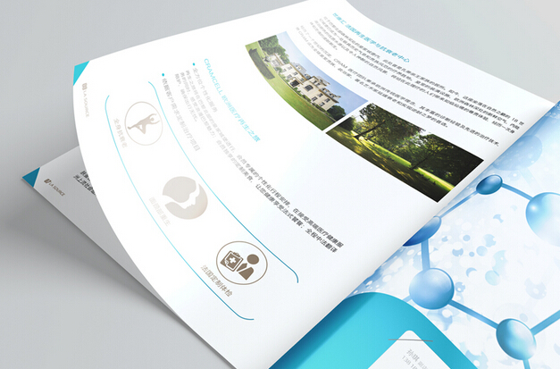 廣州畫(huà)冊(cè)印刷的價(jià)格 廣州印刷畫(huà)冊(cè)廠家價(jià)格