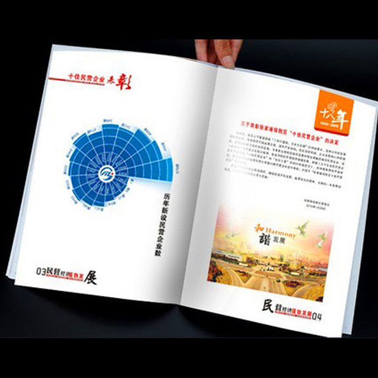 畫冊印刷 畫冊設(shè)計 健康飲食畫冊 宣傳畫冊