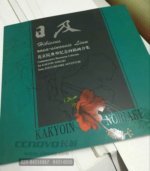 畫(huà)冊(cè)設(shè)計(jì)局部uv效果圖 